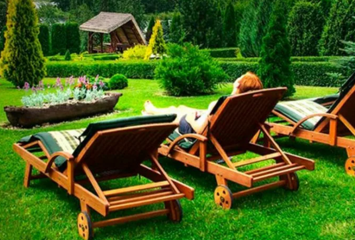 organic harvest basket
